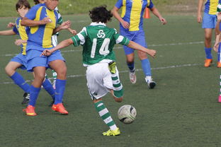 星空综合体育全站app-史诗级逆转战：从落后20分到胜利！，逆转结局是哪一套史诗